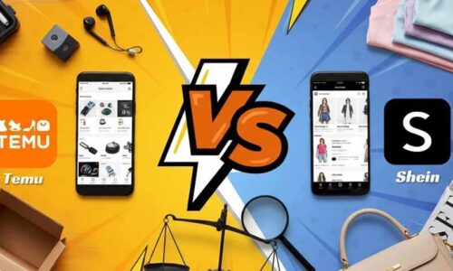 Shein vs Temu: La guida definitiva per acquisti intelligenti