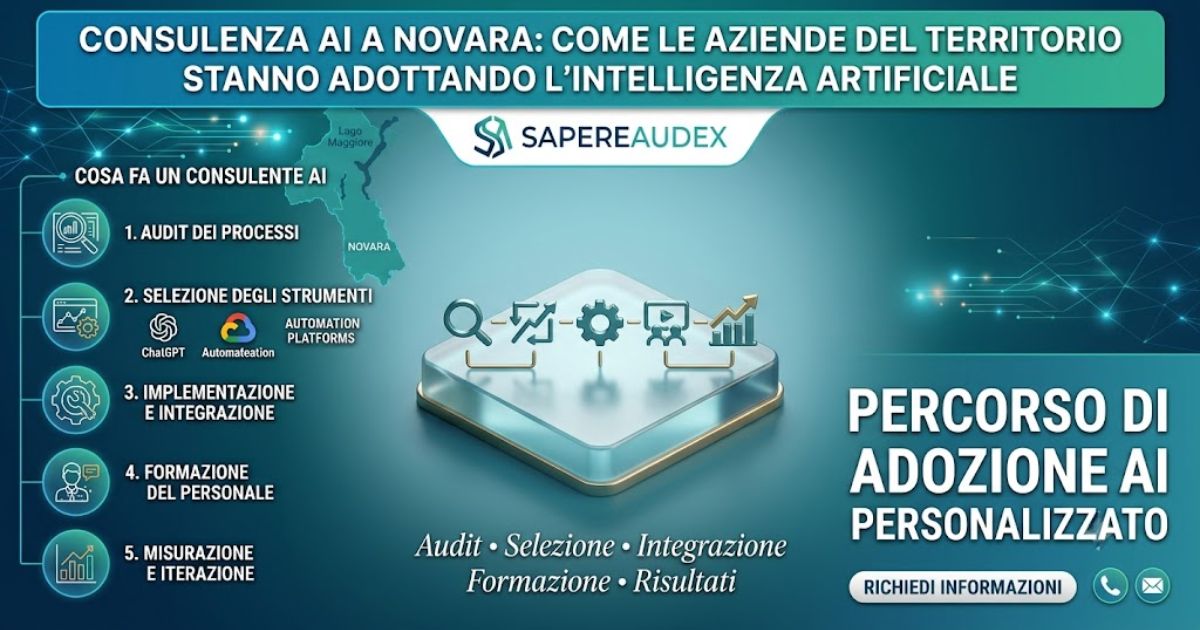 consulenza AI Novara